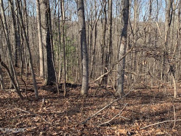 190 Beachwood Drive, Fairfield Glade, TN 38558