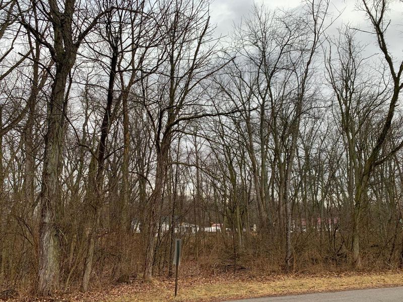 0 Park Lane, London, OH 43140 Photo 6