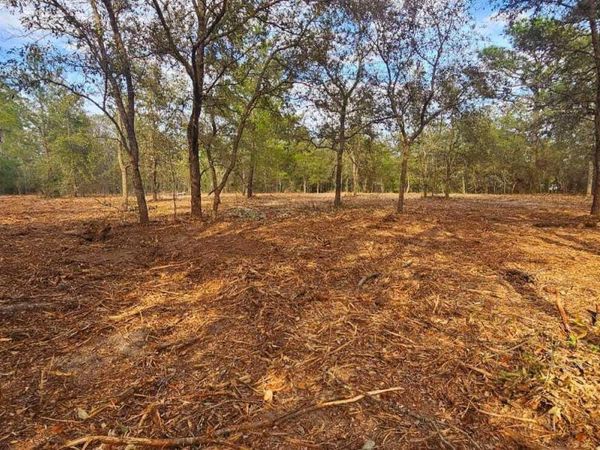 0 LILY Trail, Interlachen, FL 32148