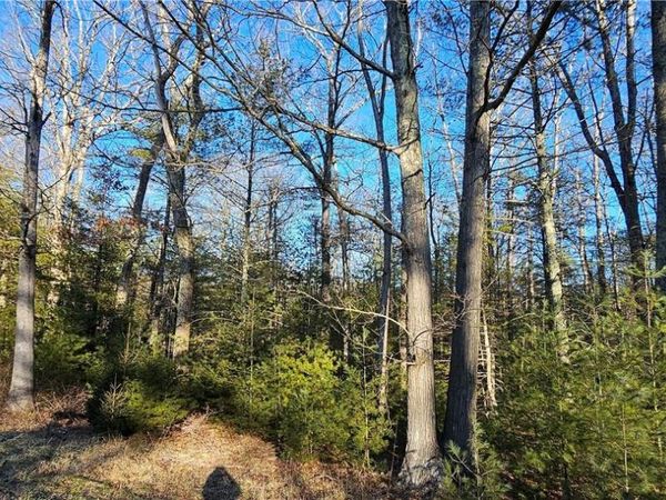 Lot 57.1 Yulan-Barryville Road, Barryville, NY 12719