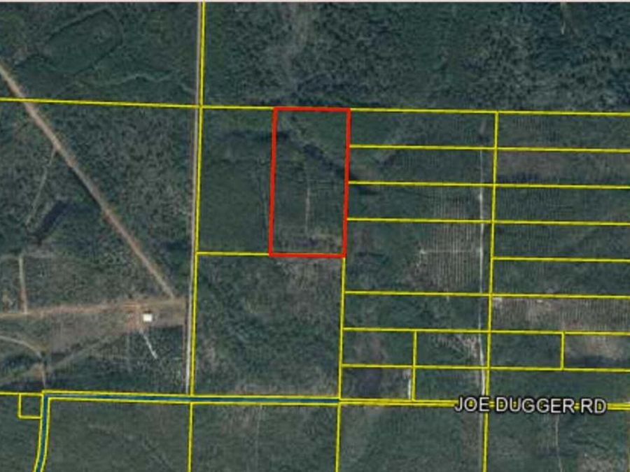 Property Image 4