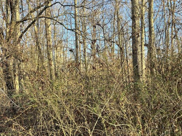 154 Lakeshire Drive, Crossville, TN 38558