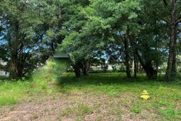 Portion Wall St. photo 4