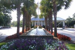 Portion Wall St. photo 4