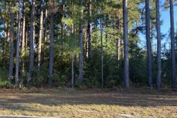 114 Finnegan Ct. photo 4