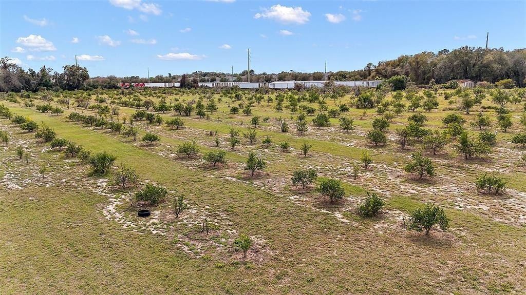 Please Call For Address, Grand Island, FL 32735 Photo