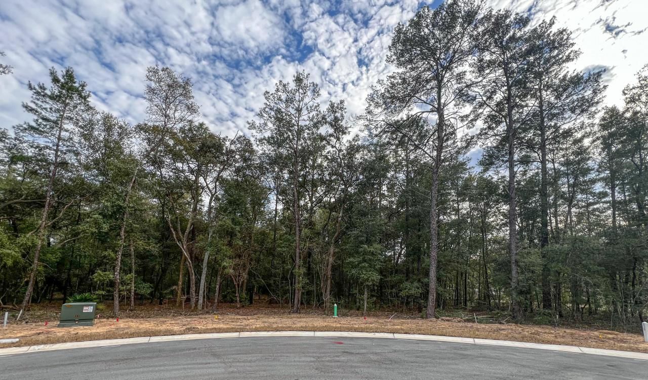 115 Yearling Court, Niceville, FL 32578 Main Photo