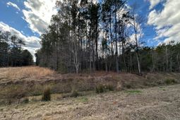 859 Highway 78 photo 4