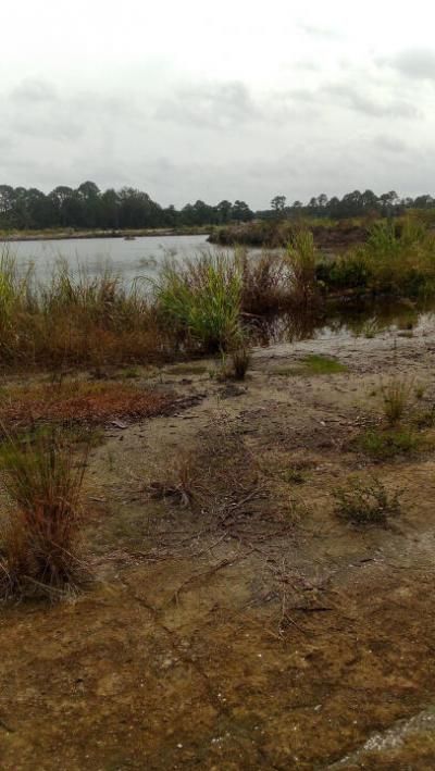 4834 Highway 46, Mims, FL 32754 Photo