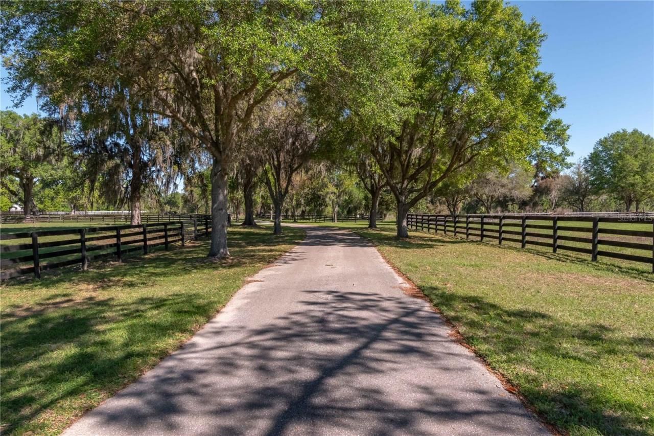 12275 W Highway 318, Reddick, FL 32686 Photo