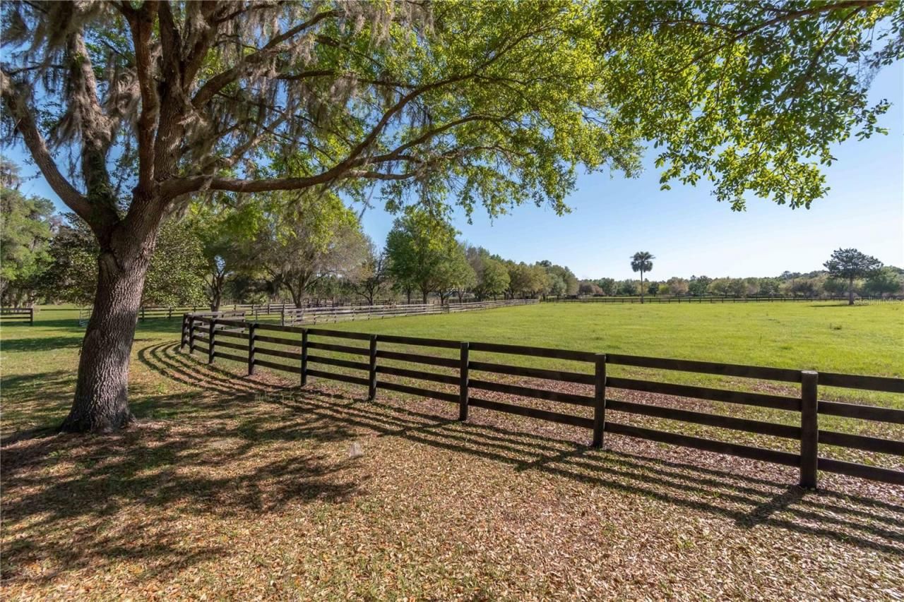 12275 W Highway 318, Reddick, FL 32686 Photo