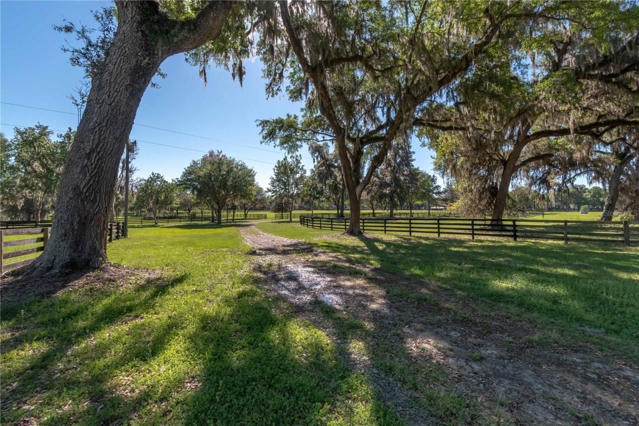 12275 W Highway 318, Reddick, FL 32686 Photo
