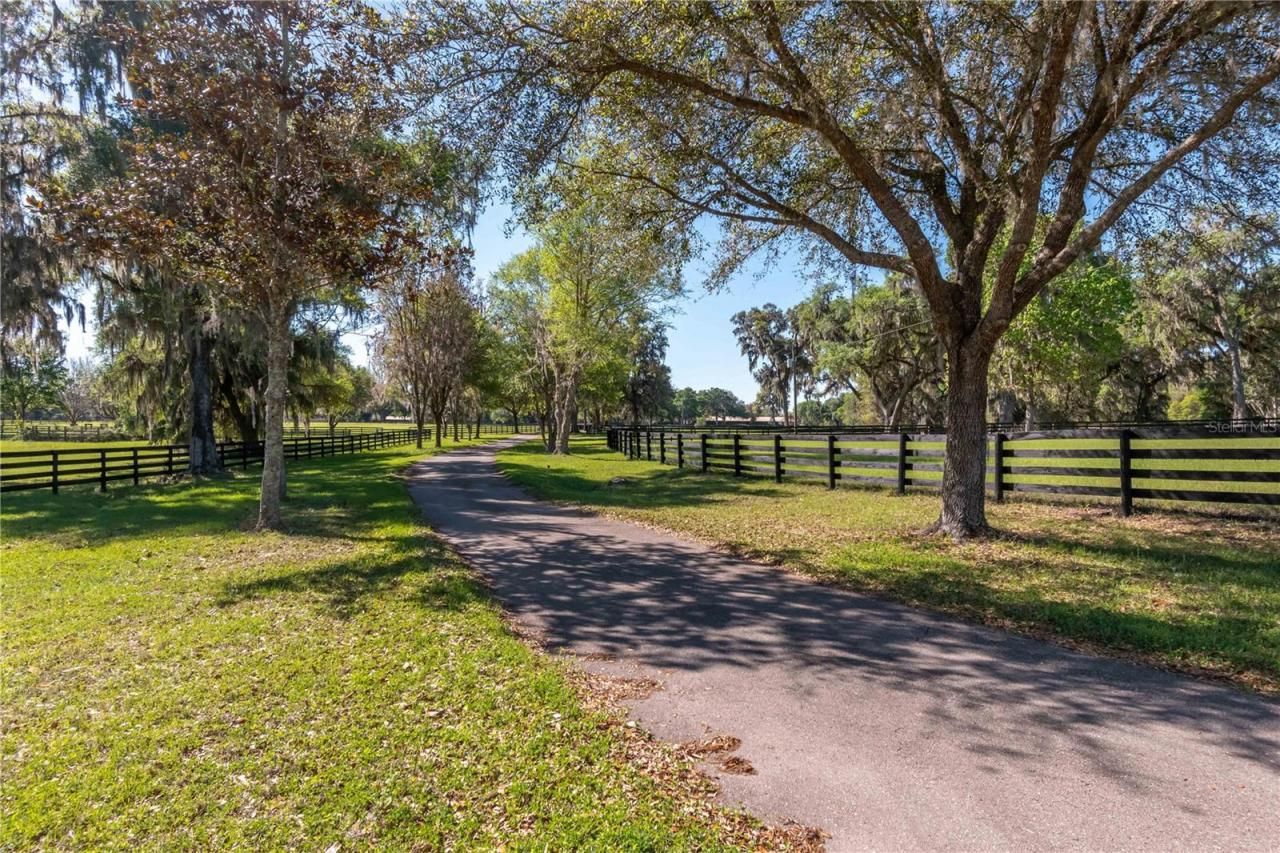 12275 W Highway 318, Reddick, FL 32686 Photo