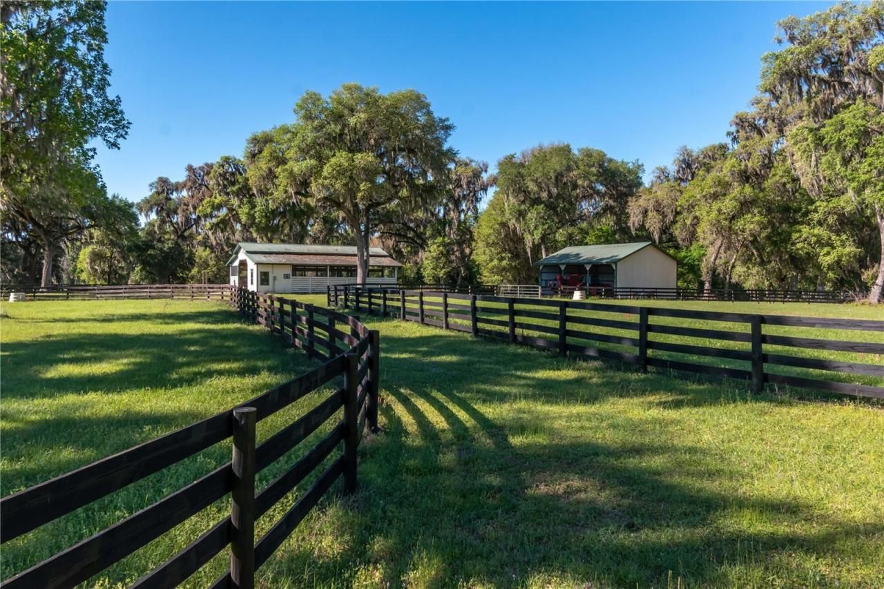 12275 W Highway 318, Reddick, FL 32686 Photo