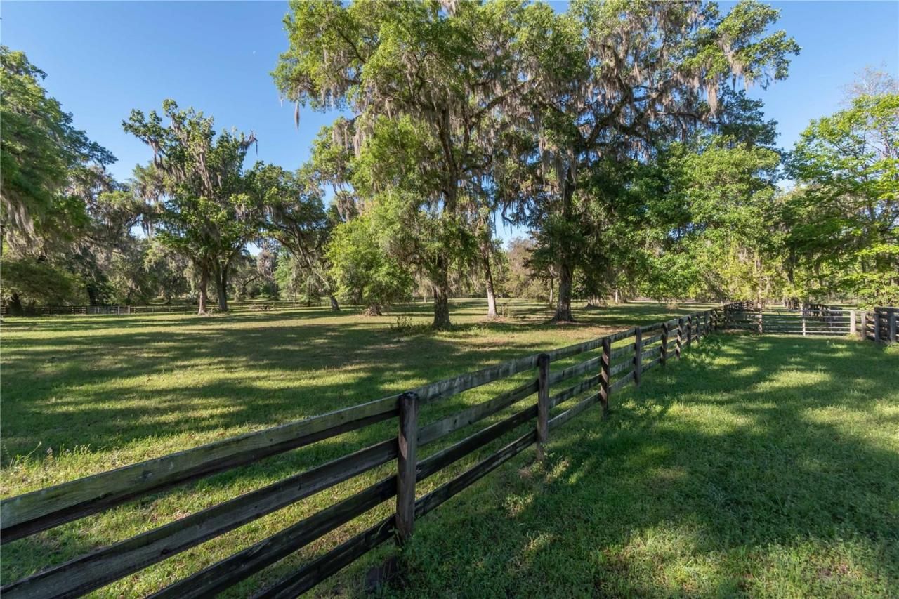 12275 W Highway 318, Reddick, FL 32686 Photo