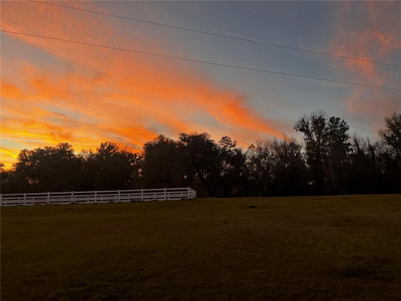 12275 W Highway 318, Reddick, FL 32686 Photo