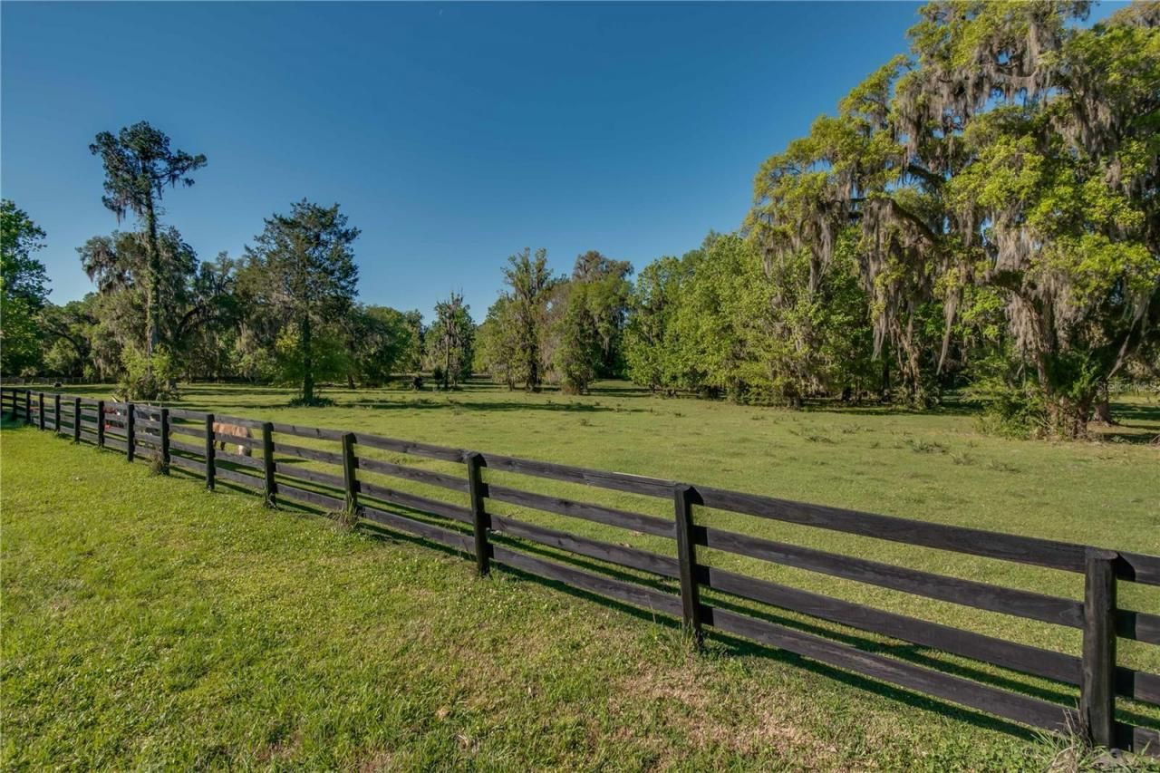 12275 W Highway 318, Reddick, FL 32686 Photo