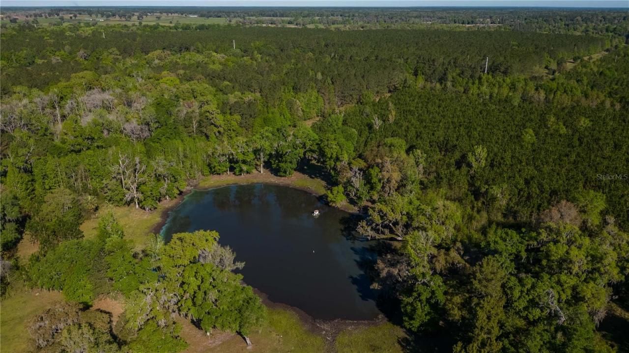 12275 W Highway 318, Reddick, FL 32686 Photo