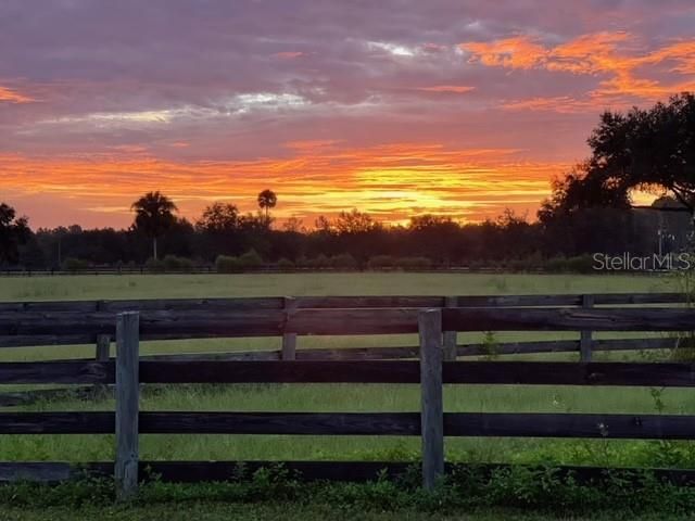 12275 W Highway 318, Reddick, FL 32686 Photo