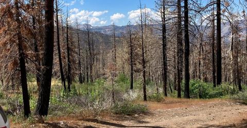 Poor Boy Rd, Markleeville, CA 96120 Photo