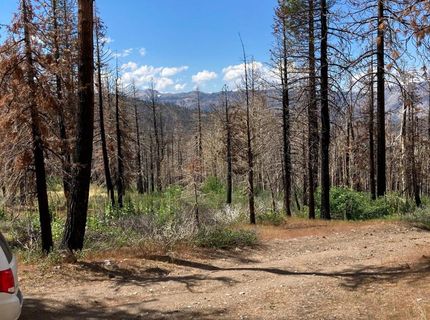 Poor Boy Rd, Markleeville, CA 96120 Photo