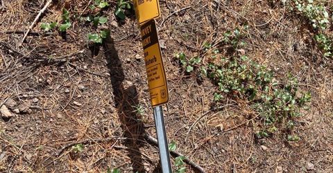 Poor Boy Rd, Markleeville, CA 96120 Photo