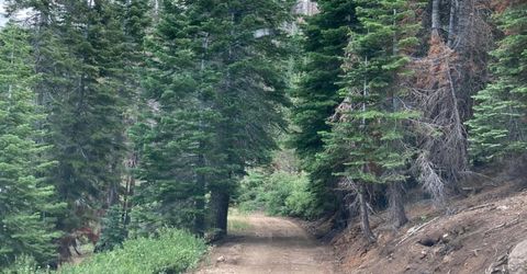 Poor Boy Rd, Markleeville, CA 96120 Photo