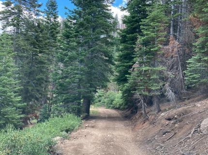 Poor Boy Rd, Markleeville, CA 96120 Photo