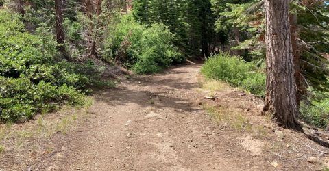 Poor Boy Rd, Markleeville, CA 96120 Photo