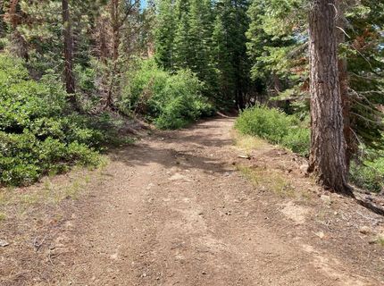 Poor Boy Rd, Markleeville, CA 96120 Photo