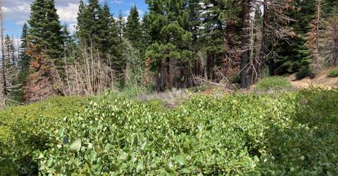 Poor Boy Rd, Markleeville, CA 96120 Photo