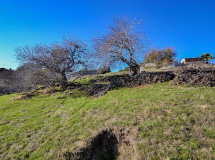 3428 Camanche Pkwy N., Ione, CA 95640 Photo