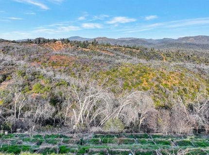 10263 Ham Luddy Rd, Mountain Ranch, CA 95246 Photo