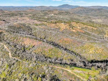 10263 Ham Luddy Rd, Mountain Ranch, CA 95246 Photo