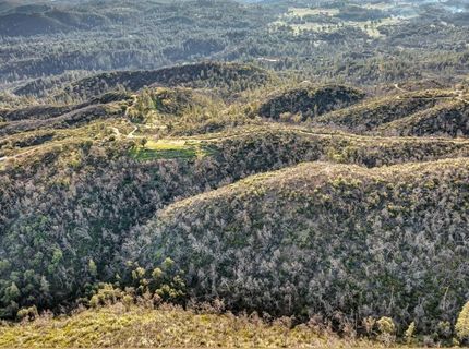 10263 Ham Luddy Rd, Mountain Ranch, CA 95246 Photo