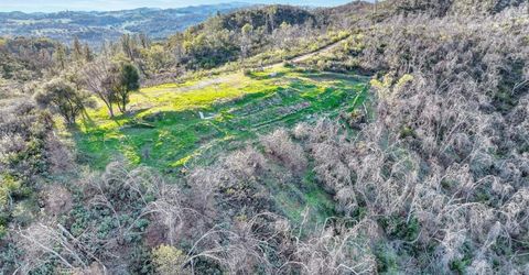 10263 Ham Luddy Rd, Mountain Ranch, CA 95246 Photo