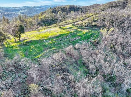 10263 Ham Luddy Rd, Mountain Ranch, CA 95246 Photo