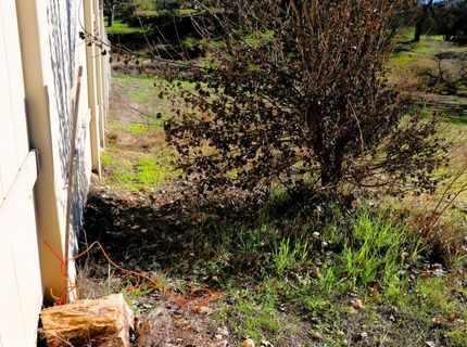 337 Saint Andrews, Valley Springs, CA 95252 Photo