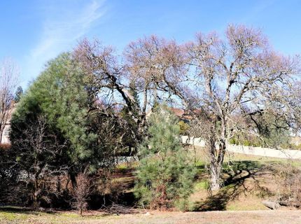 337 Saint Andrews, Valley Springs, CA 95252 Photo