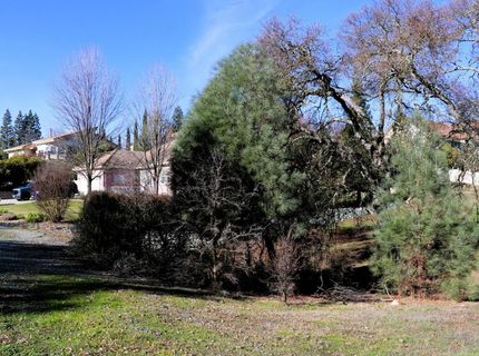 337 Saint Andrews, Valley Springs, CA 95252 Photo