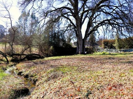 337 Saint Andrews, Valley Springs, CA 95252 Photo