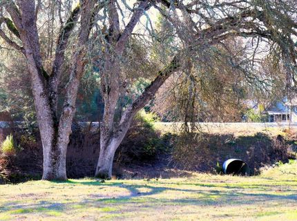 337 Saint Andrews, Valley Springs, CA 95252 Photo