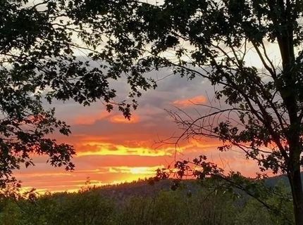 5060 Fong Dr, Copperopolis, CA 95228 Photo