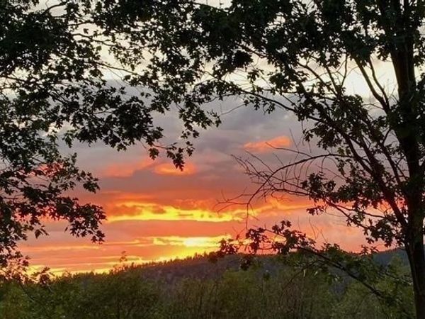 5060 Fong Dr, Copperopolis, CA 95228