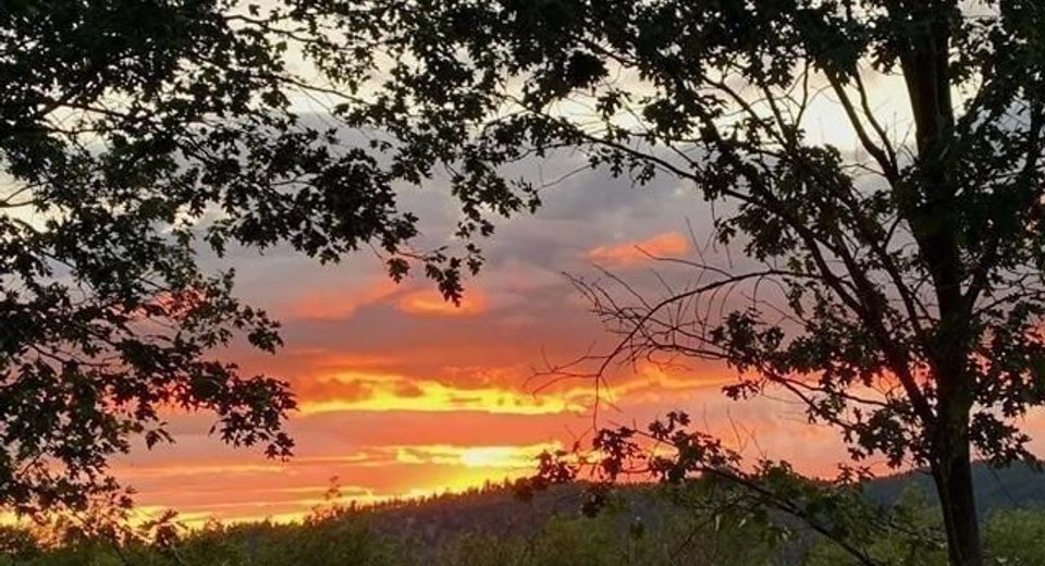 5060 Fong Dr, Copperopolis, CA 95228 Photo