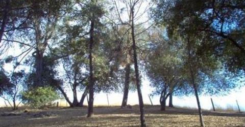 5060 Fong Dr, Copperopolis, CA 95228 Photo