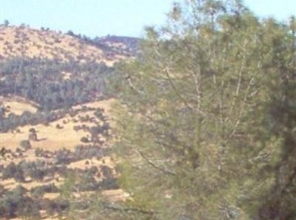 5060 Fong Dr, Copperopolis, CA 95228 Photo