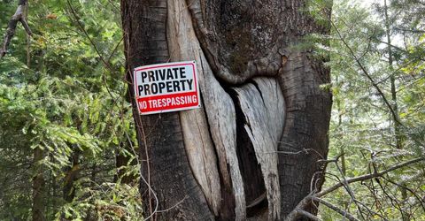 Tin Ranch Road, Georgetown, CA 95634 Photo