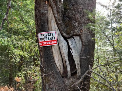 Tin Ranch Road, Georgetown, CA 95634 Photo