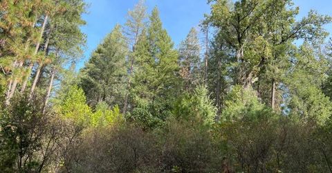 Tin Ranch Road, Georgetown, CA 95634 Photo